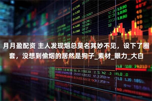 月月盈配资 主人发现烟总莫名其妙不见，设下了圈套，没想到偷烟的居然是狗子_素材_眼力_大白