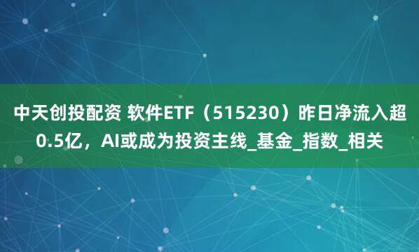 中天创投配资 软件ETF（515230）昨日净流入超0.5亿，AI或成为投资主线_基金_指数_相关